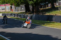 cadwell-park;cadwell-park-photographs;cadwell-trackday-photographs;enduro-digital-images;event-digital-images;eventdigitalimages;peter-wileman-photography;racing-digital-images;trackday-digital-images;trackday-photos